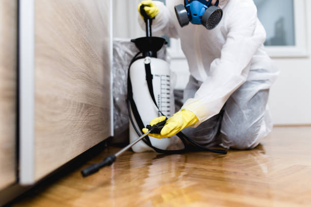 Trusted Wilber, NE Pest Control Experts